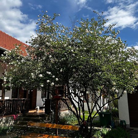 Magnolia Garden Apartment Miskolc Exterior photo