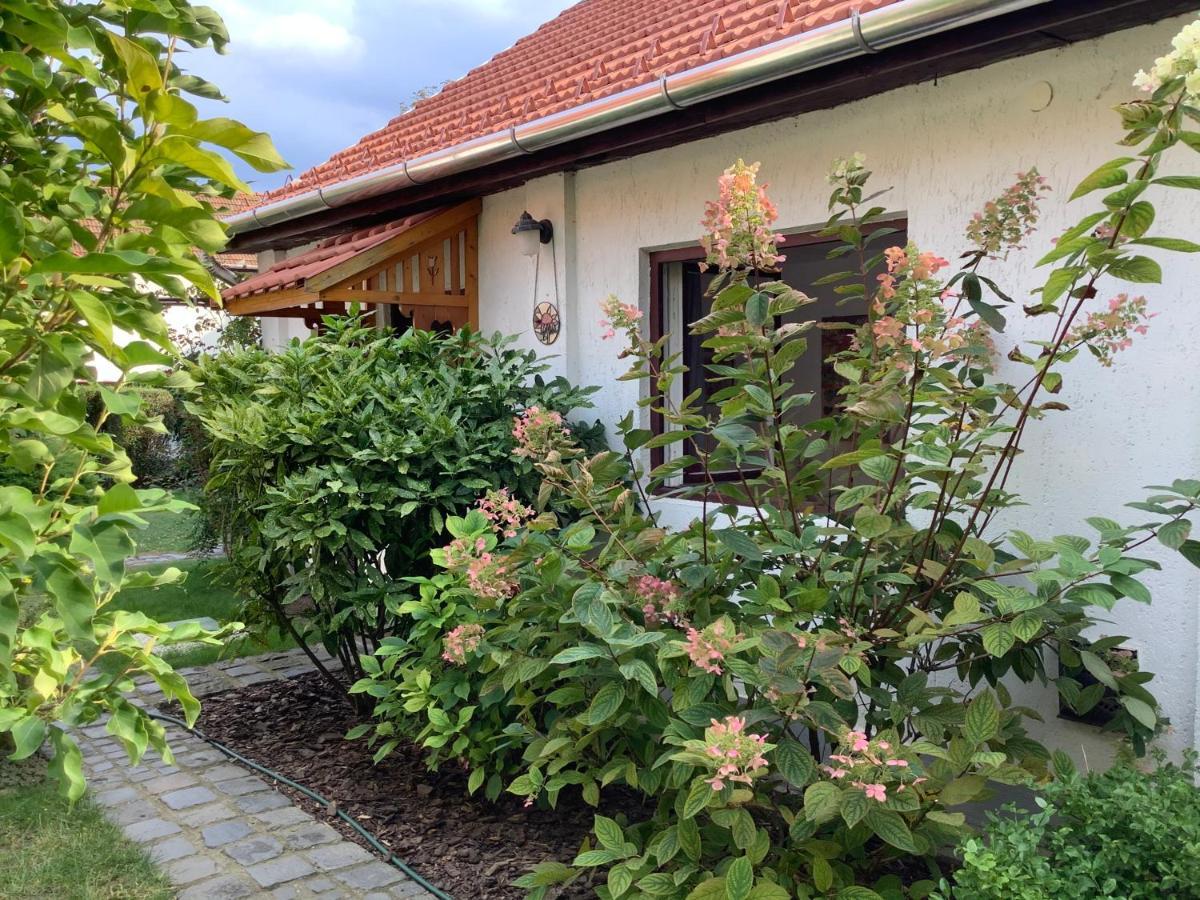 Magnolia Garden Apartment Miskolc Exterior photo