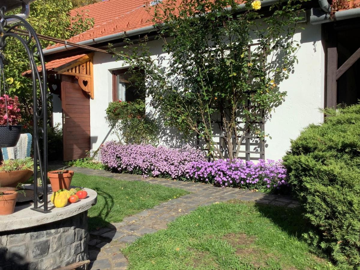 Magnolia Garden Apartment Miskolc Exterior photo